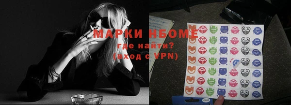 гашик Алексин