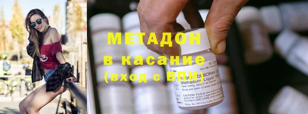 гашик Алексин