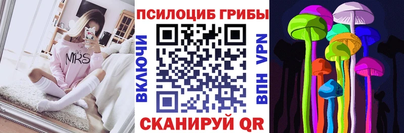 Галлюциногенные грибы Psilocybe  Купить где  Советский 