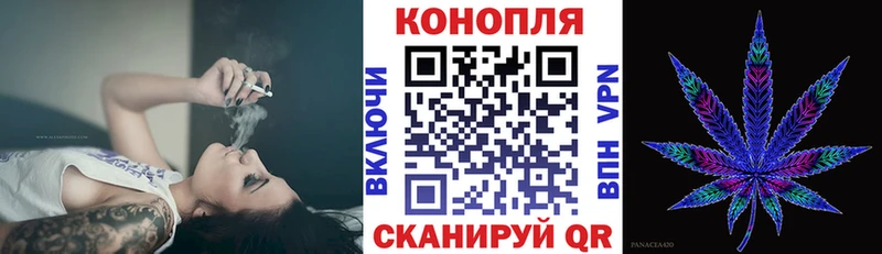 Купить где  Советский  Конопля тримм 